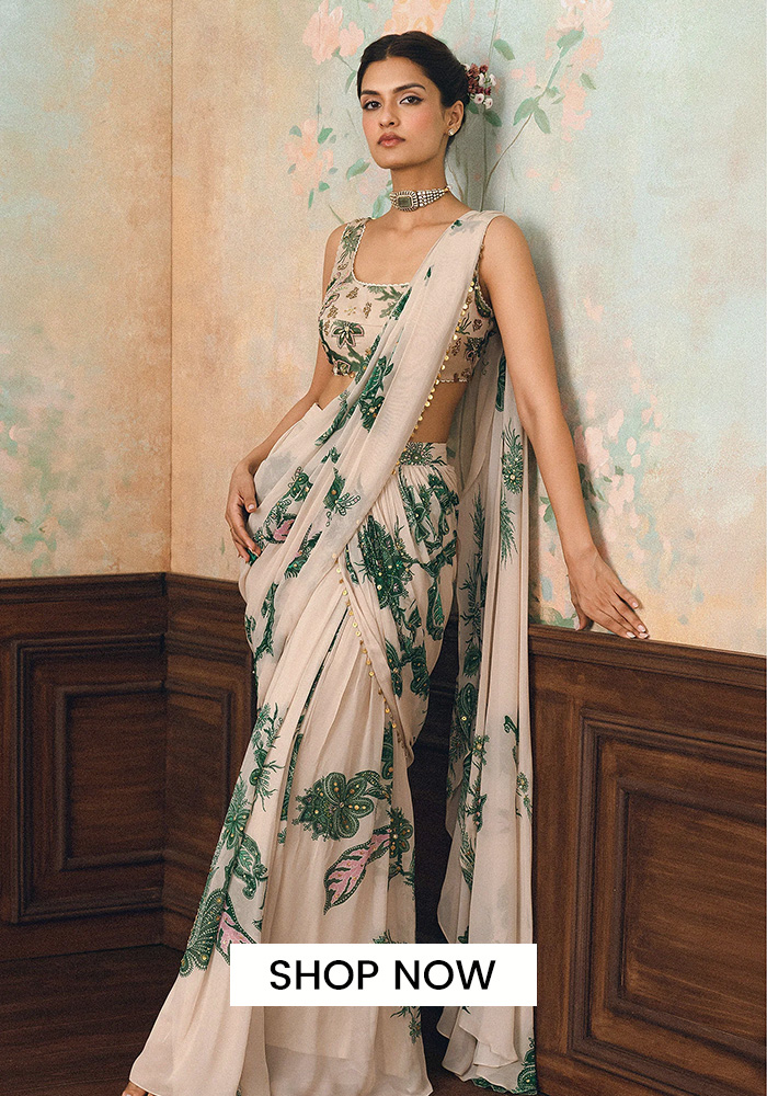 6. A Pre-Draped Saree