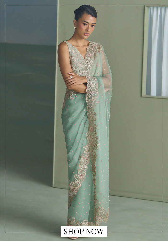 Mauritius for Diwali? Pack These 9 Indianwear Looks 3 Look 1: Lightweight Organza Saree: