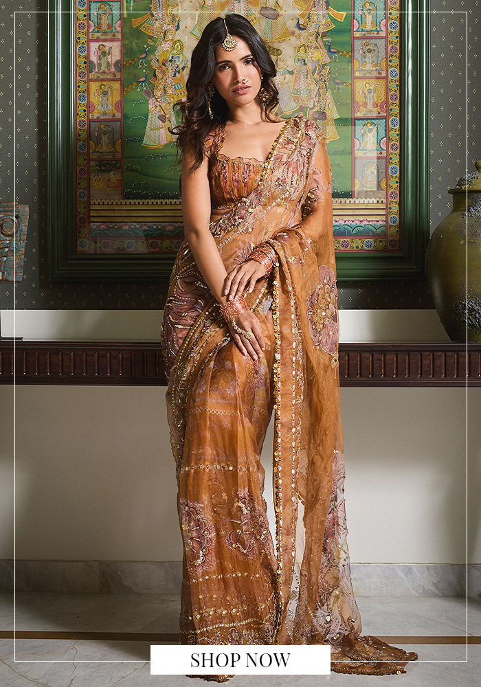 Mahima Mahajan saree