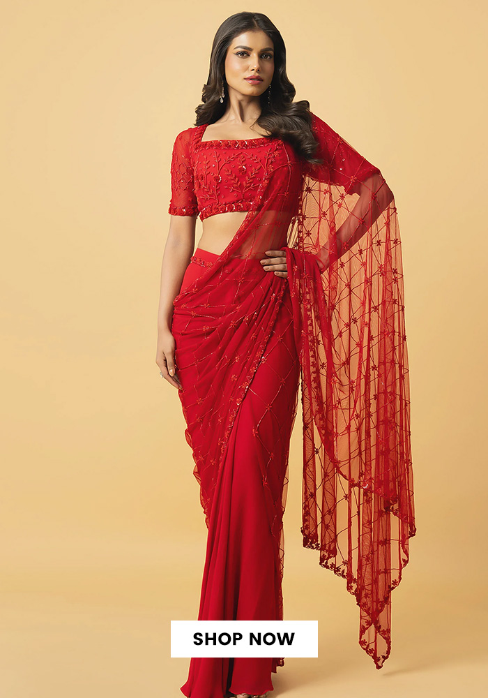 Net saree