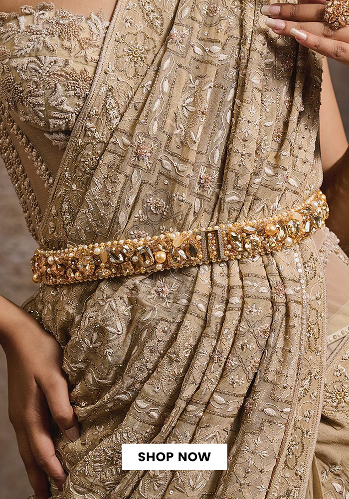 Saree belt