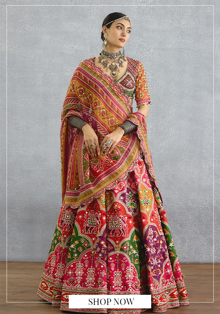 Torani multi-color dhruv patola lehenga set