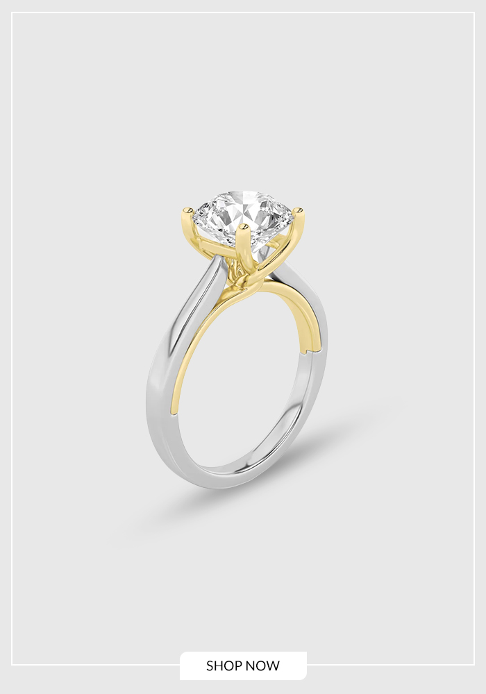 The Solitaire, Always